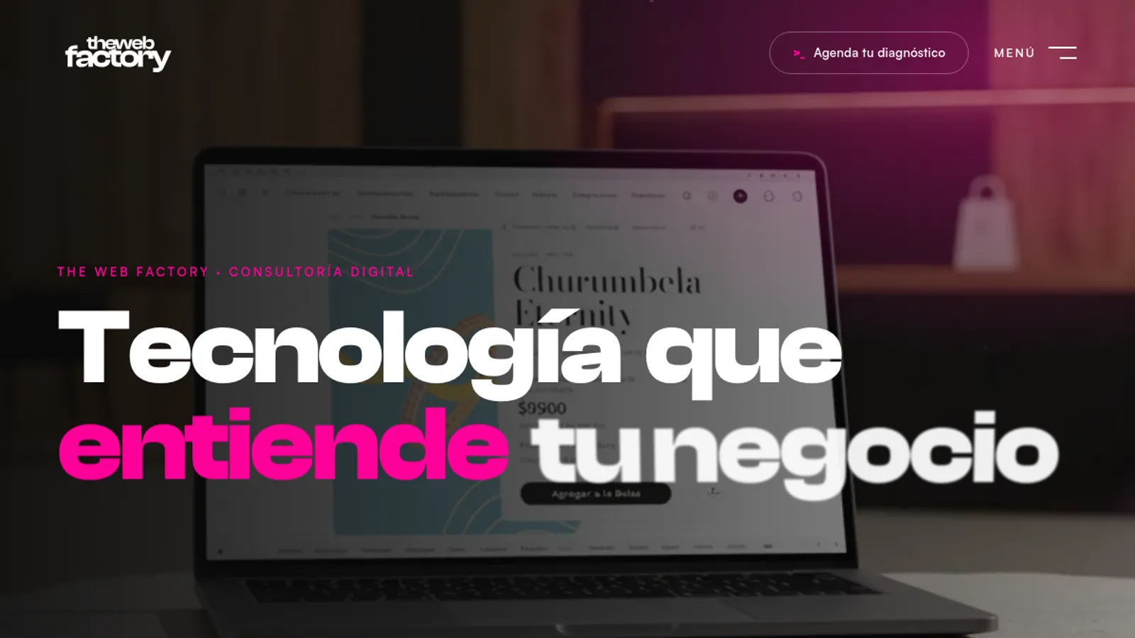 Screenshot of the The Web Factory homepage