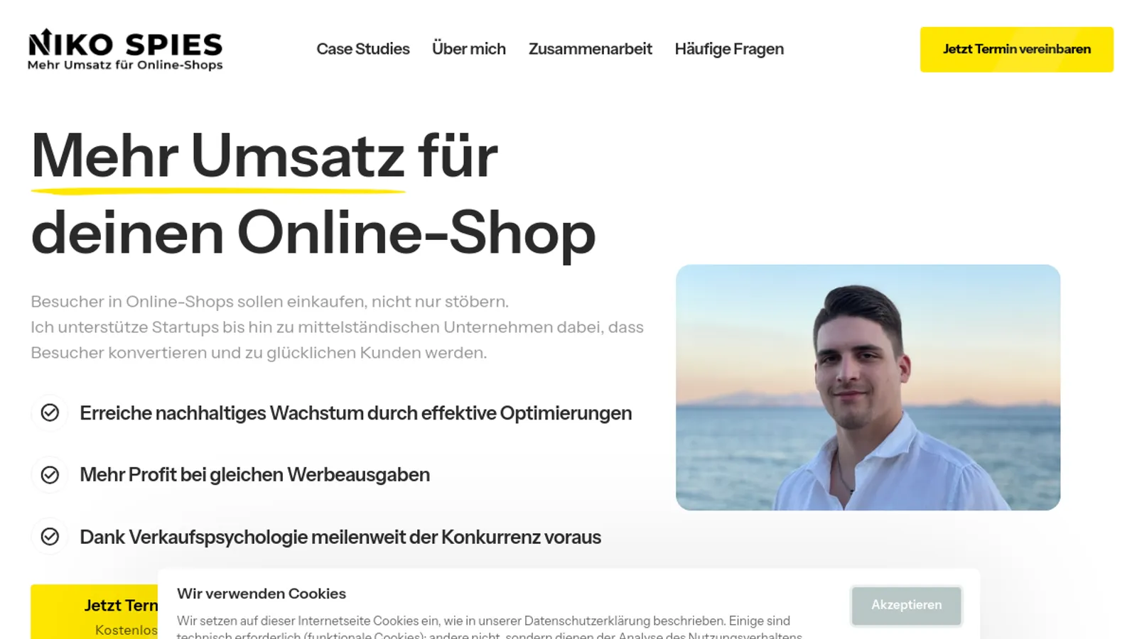 Screenshot of the Niko Spies homepage