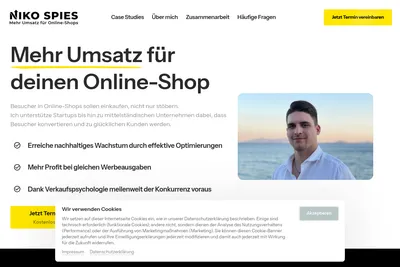 Screenshot of the Niko Spies homepage