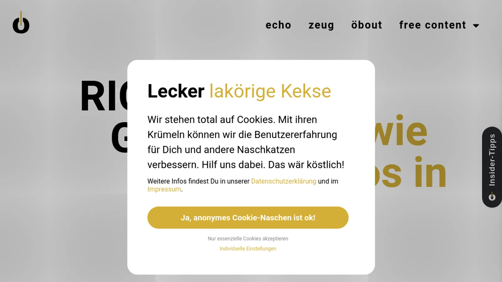 Screenshot of the lakör GmbH & Co. KG homepage
