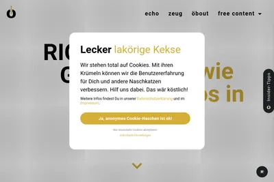 Screenshot of the lakör GmbH & Co. KG homepage