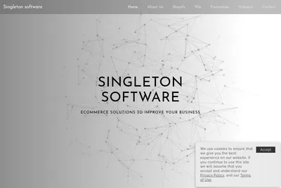 Screenshot of the Singleton software homepage