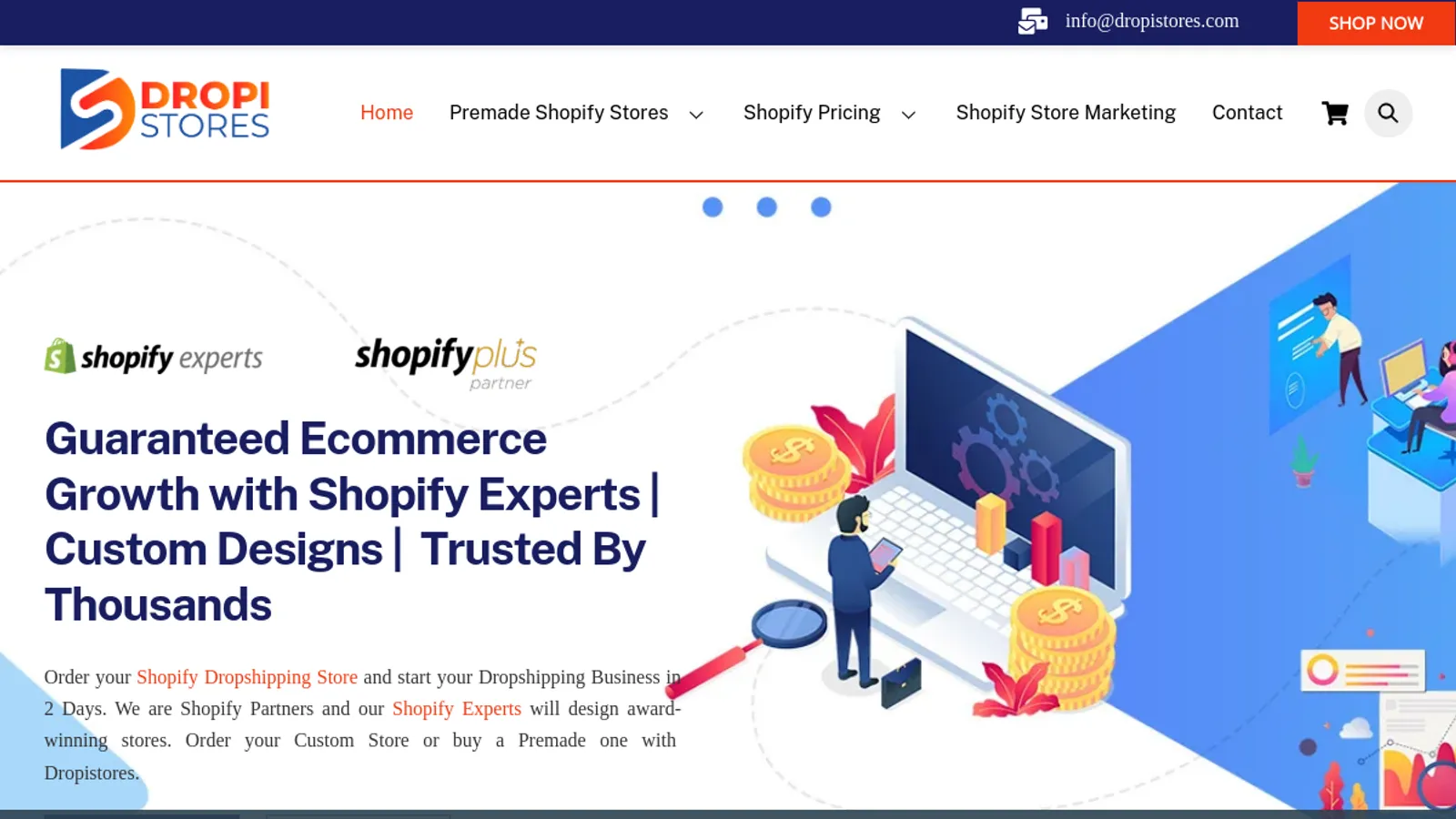 Screenshot of the Dropi Stores homepage