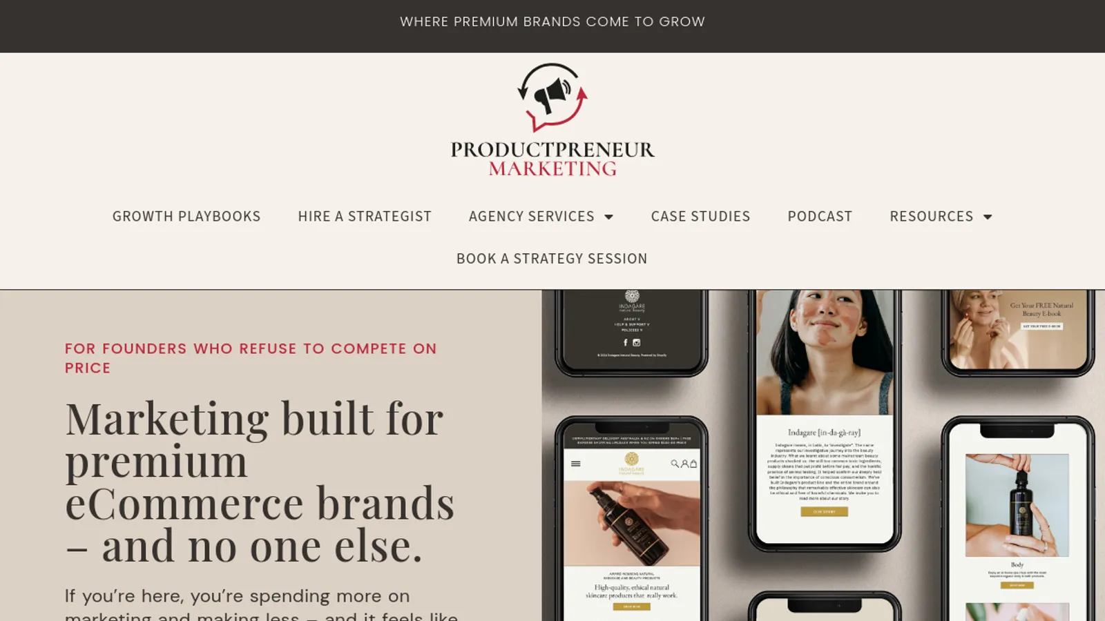 Screenshot of the Productpreneur Marketing homepage