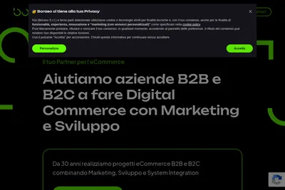 Screenshot of the Boraso homepage