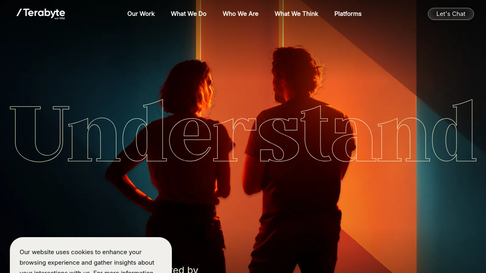 Screenshot of the Terabyte homepage
