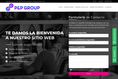 Screenshot of the P&P GROUP S.A.S. homepage