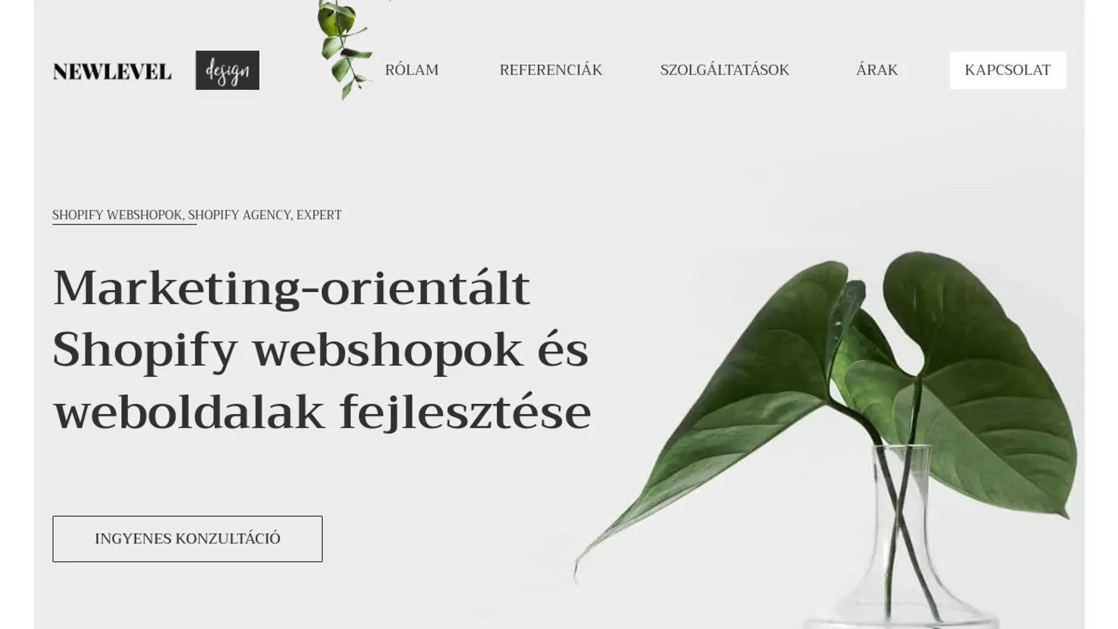 Screenshot of the Newleveldesign homepage