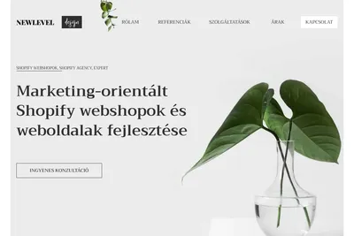 Screenshot of the Newleveldesign homepage