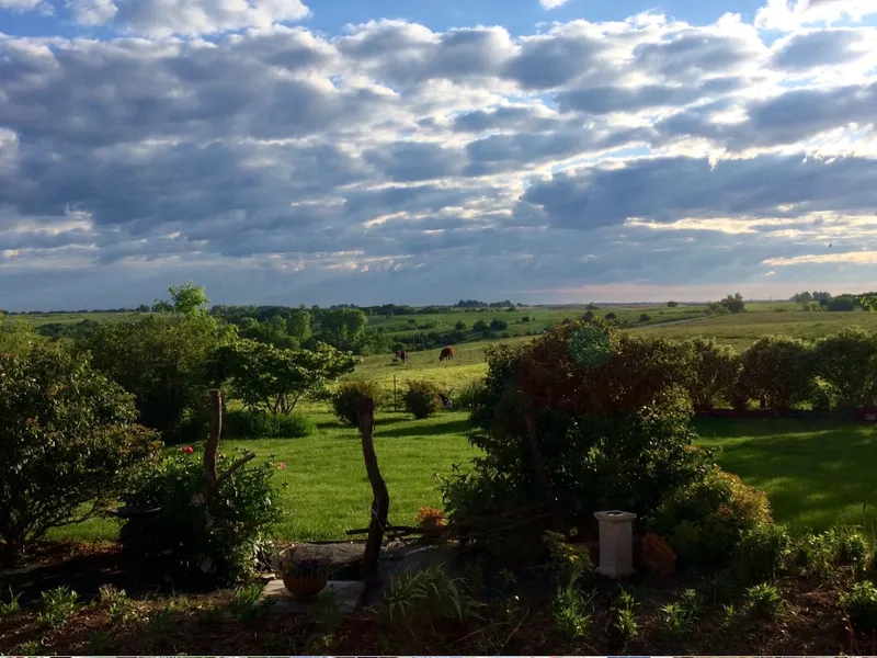 Miss Spenser's Special-Teas & Longview Bed and Breakfast