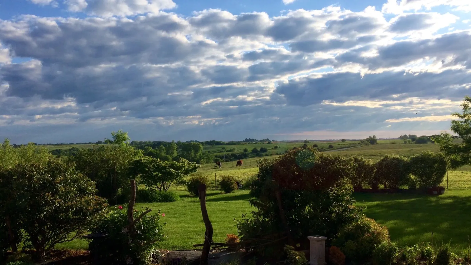 Miss Spenser's Special-Teas & Longview Bed and Breakfast