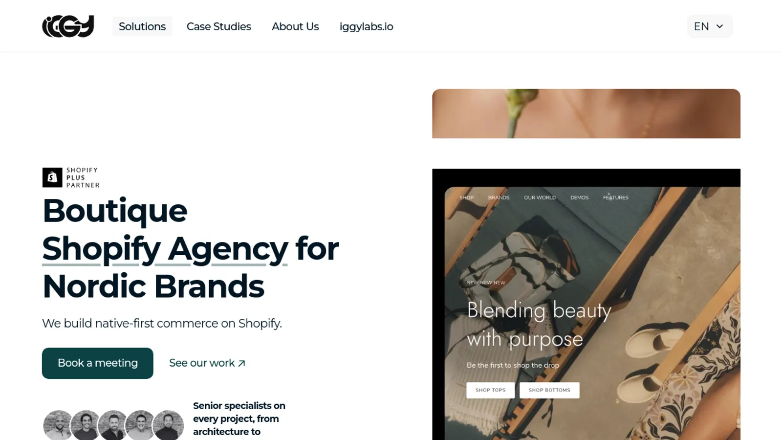 Screenshot of the Iggy Agency homepage