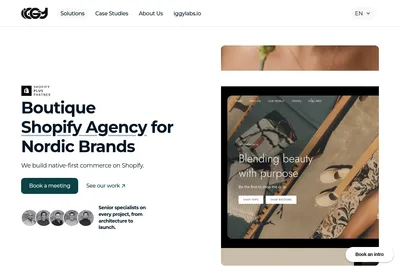 Screenshot of the Iggy Agency homepage