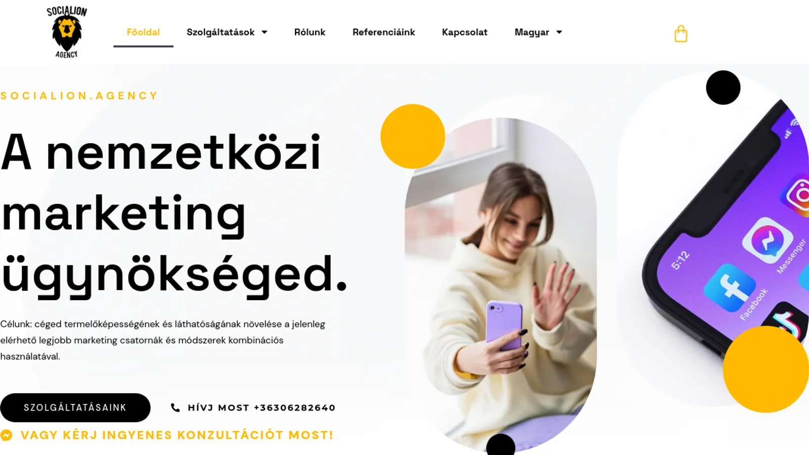 Screenshot of the Socialion.agency homepage