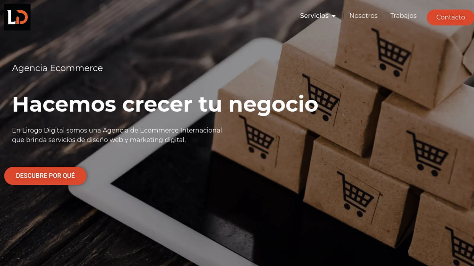 Screenshot of the Lirogo Digital homepage