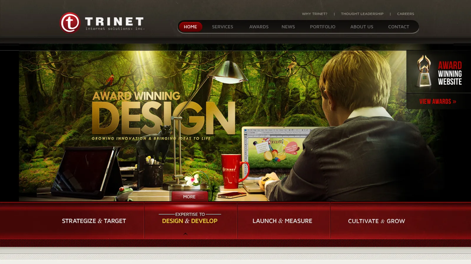 Screenshot of the Trinet Internet Solutions, Inc. homepage