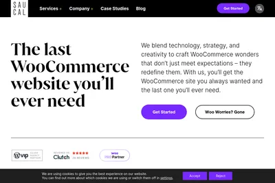 Screenshot of the Saucal homepage