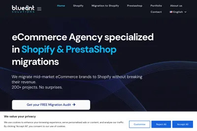 Screenshot of the Blueant Solutions homepage