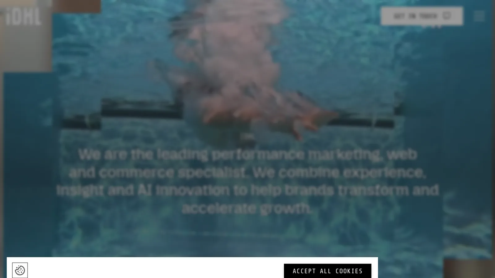 Screenshot of the IDHL homepage