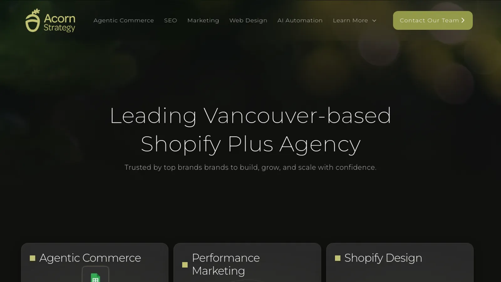Screenshot of the Acorn Strategy homepage