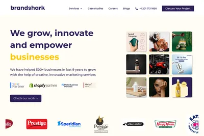 Screenshot of the Brandshark homepage