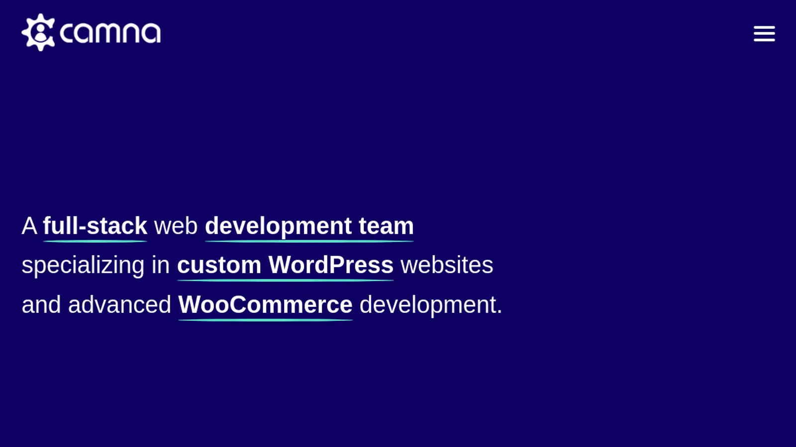 Screenshot of the Camna, LLC homepage
