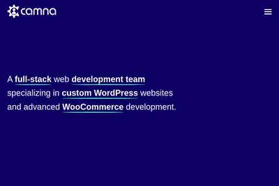 Screenshot of the Camna, LLC homepage