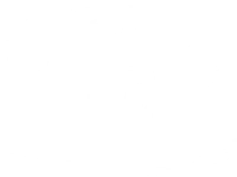 Bottom of The Cup Tea Room