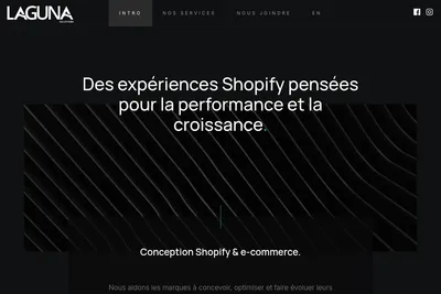 Screenshot of the Laguna Solutions homepage