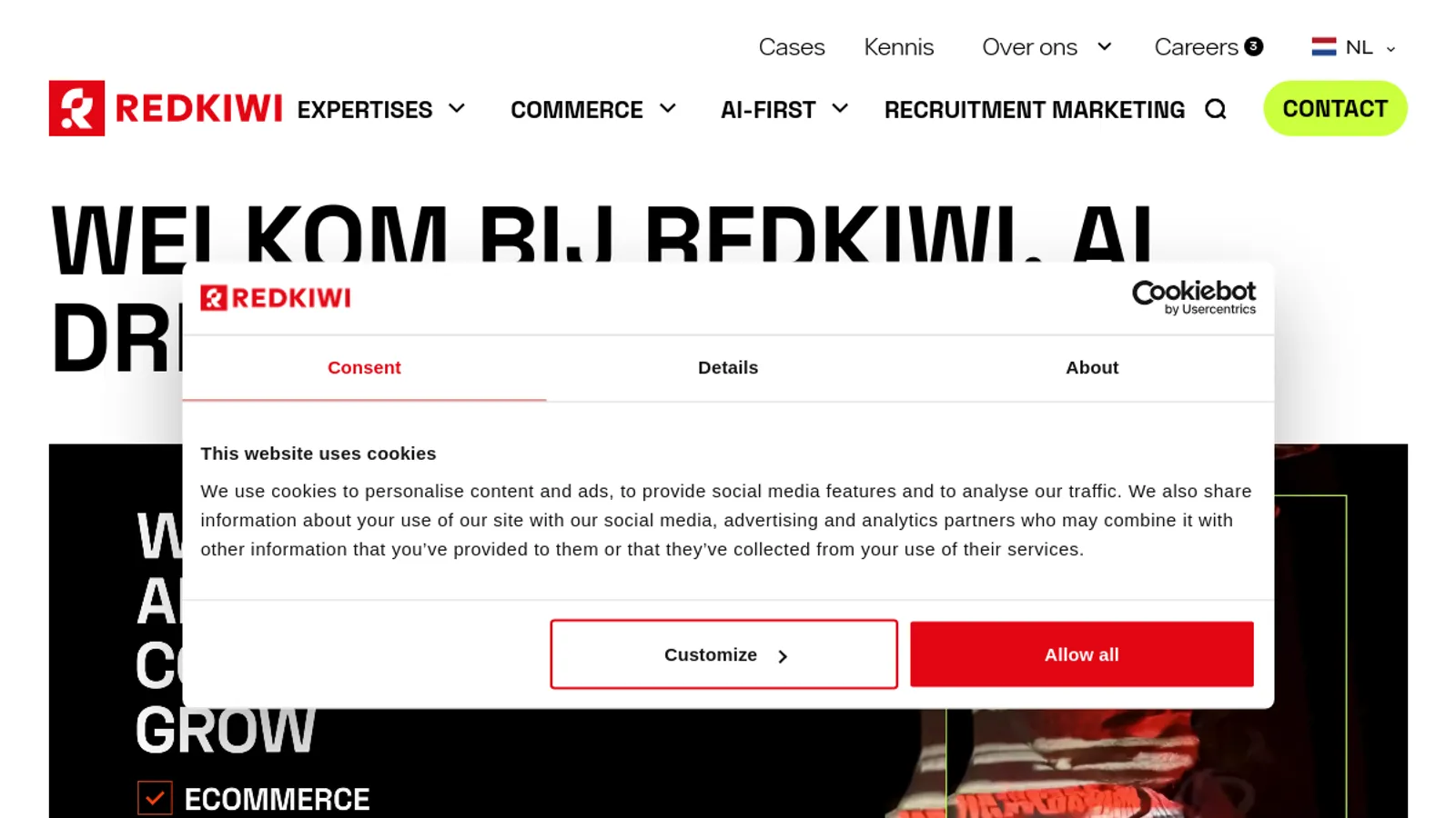 Screenshot of the Redkiwi homepage