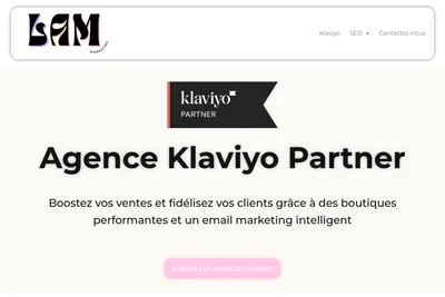 Screenshot of the Elam homepage
