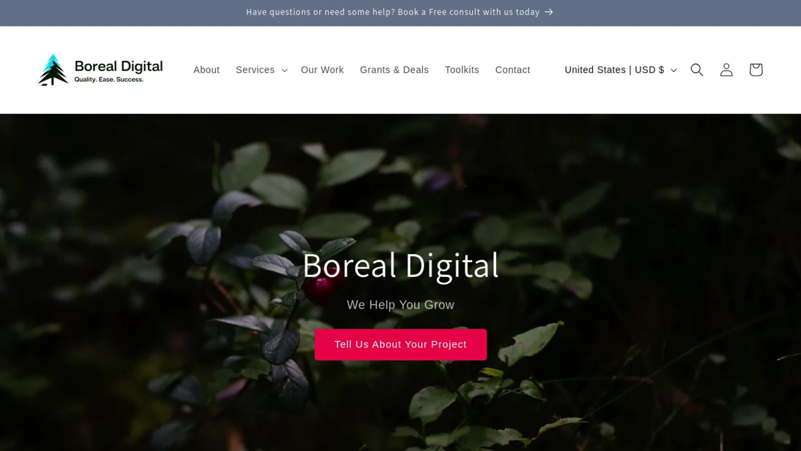Screenshot of the Boreal Digital homepage