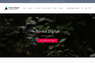Screenshot of the Boreal Digital homepage