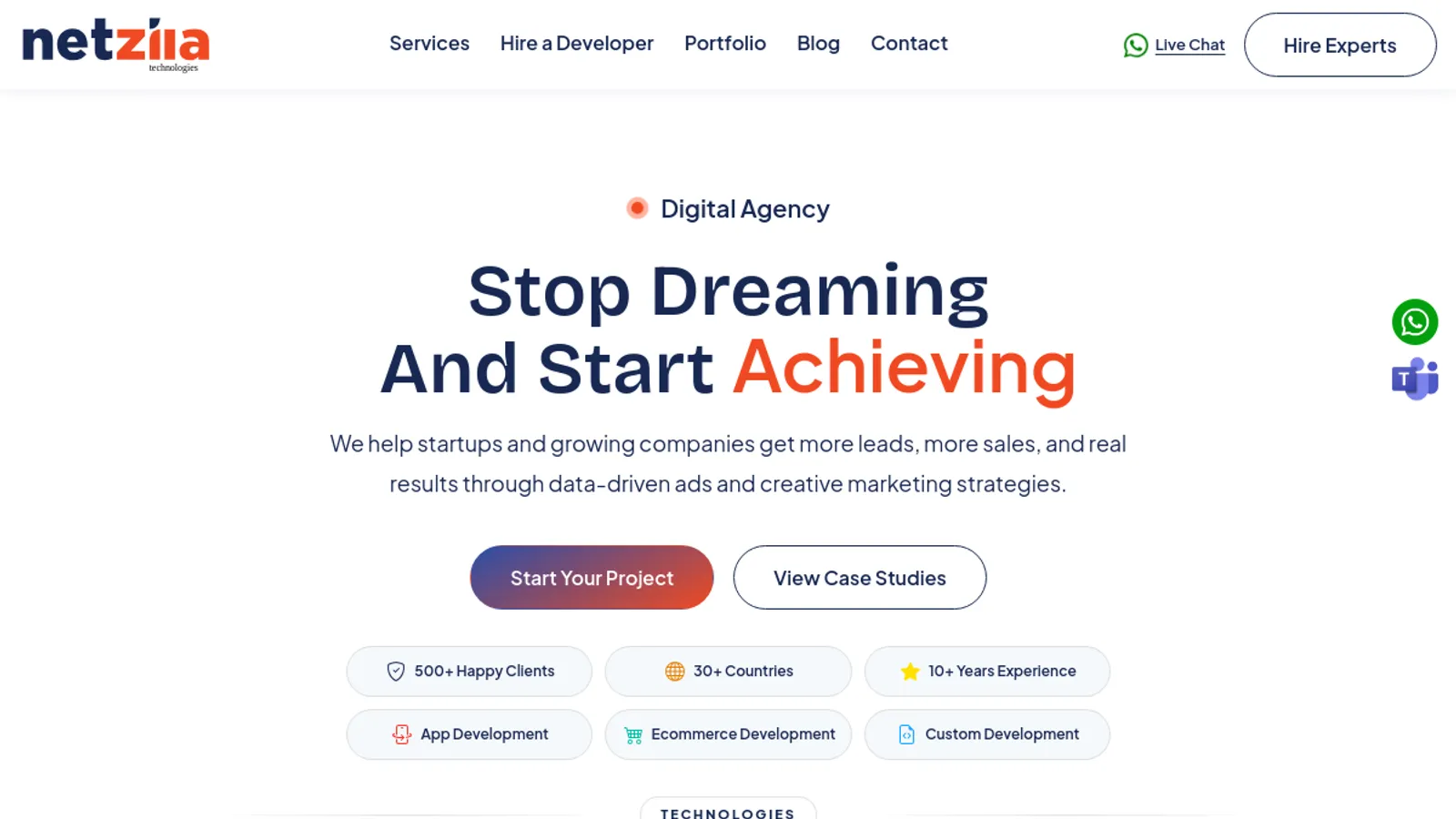 Screenshot of the Netzila Technologies homepage