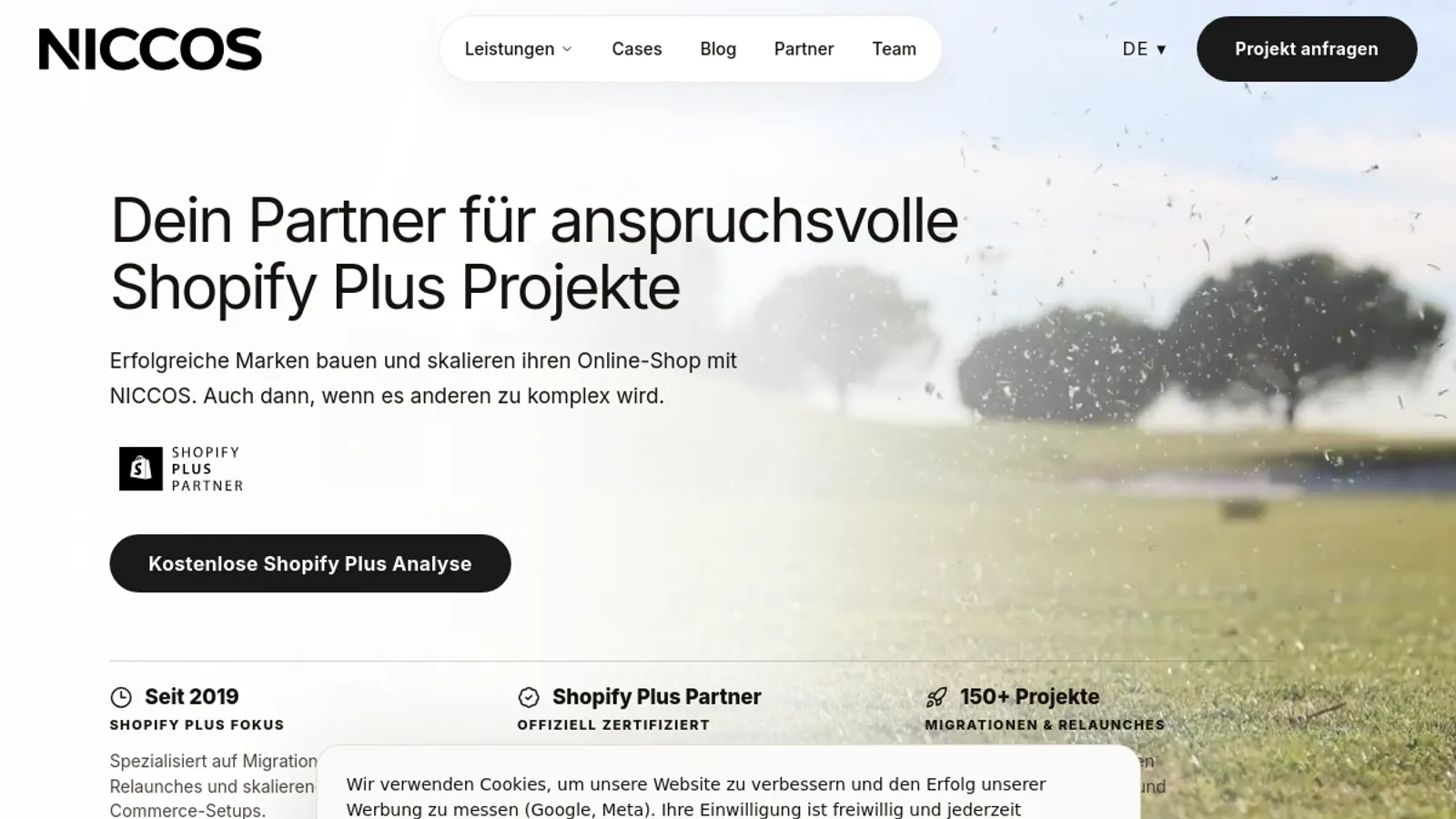 Screenshot of the Niccos GmbH homepage