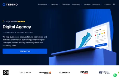 Screenshot of the Tebiko homepage