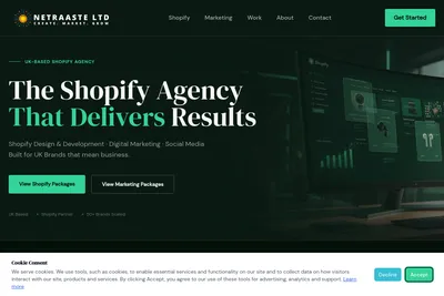 Screenshot of the NETRAASTE LTD homepage