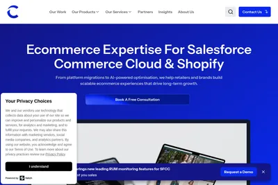 Screenshot of the The Commerce Team Global homepage