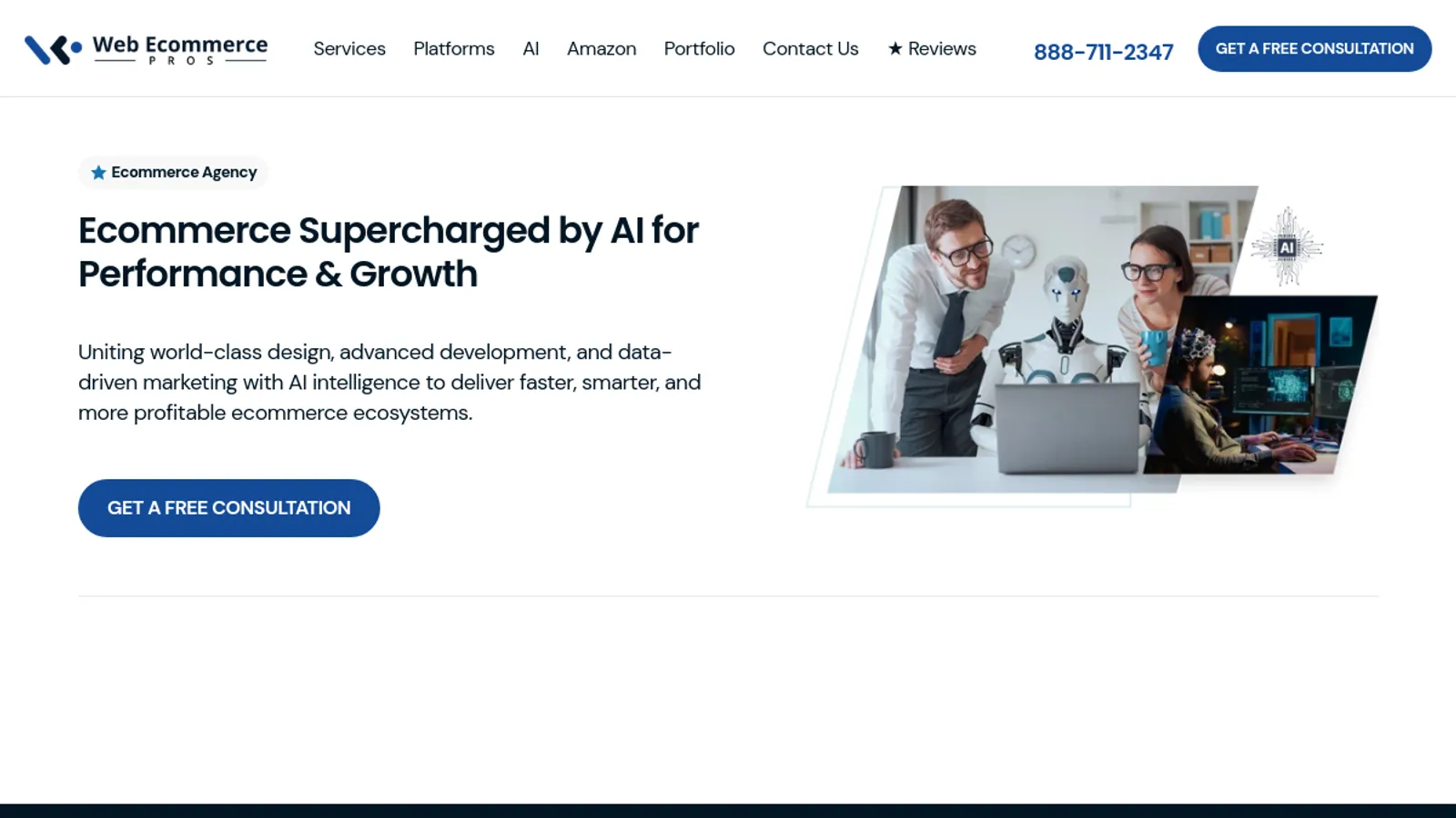 Screenshot of the Web Ecommerce Pros homepage